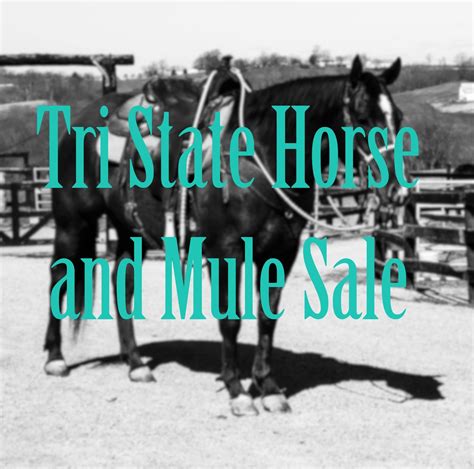 Tri-State Exhibition Center, McDonald, TN. . Tri state horse and mule sale 2022